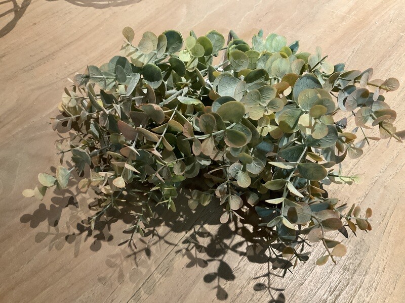 Eucalyptus 33cm