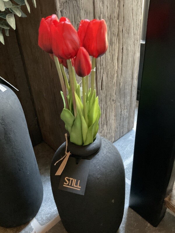 Tulpen rood per boeket (7)