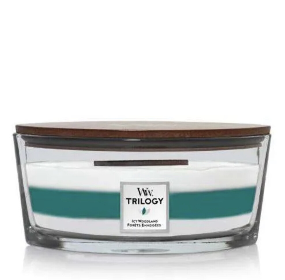 Trilogy Woodwick Elipse Icy Woodland