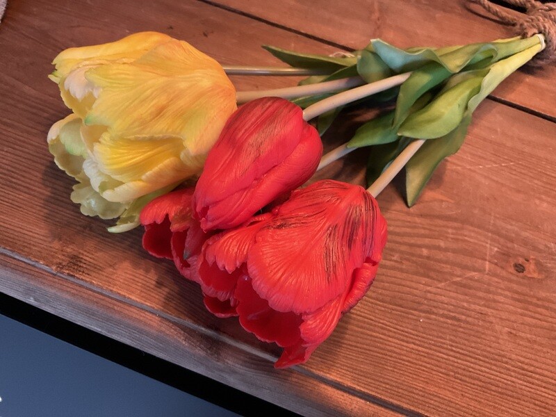 Dubbele rode tulpen per 2
