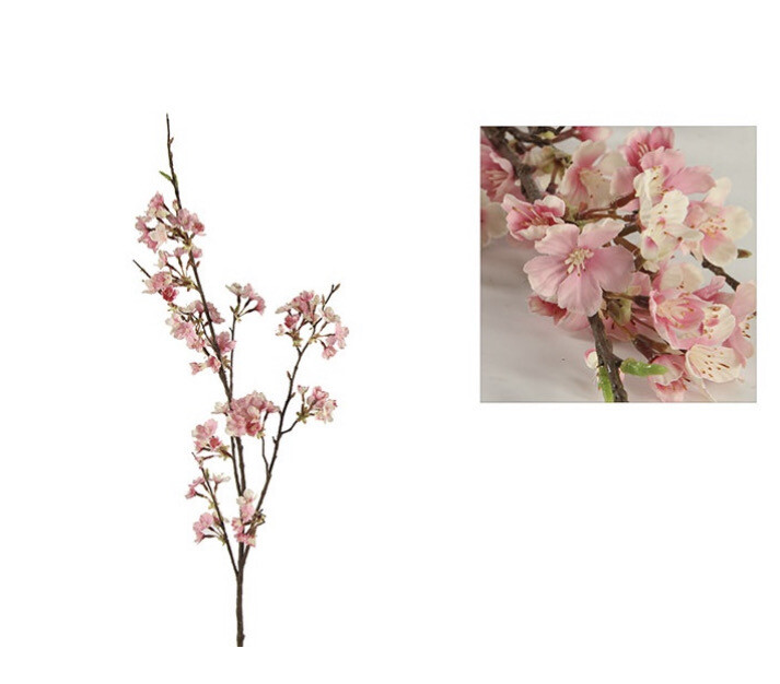 Kersenbloesem Roze
