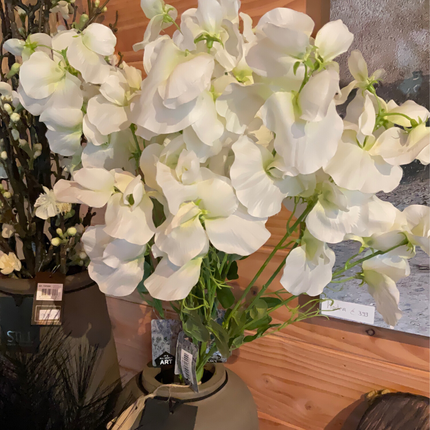 Lathyrus Cream -50%