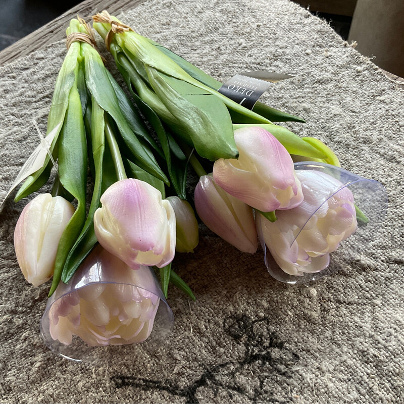 Tulpen Wit Paars Per 4
