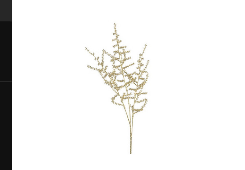 Asparagus Goud -25%