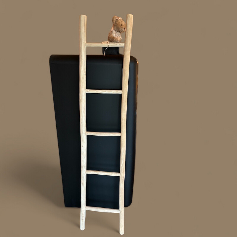 Ladder 180 Cm