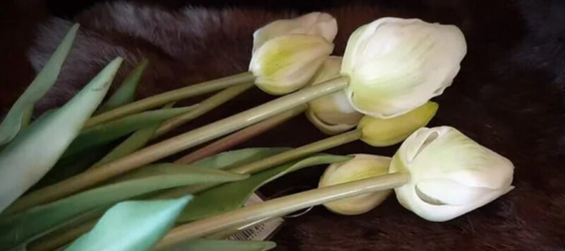 Witte Tulpen Per 7 30cm