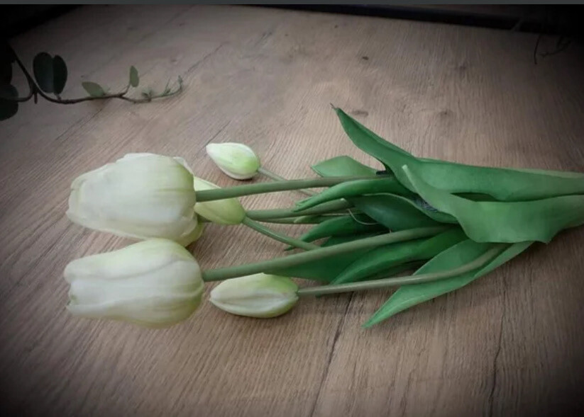 Witte Tulpen Met Lange Stelen 45 Cm