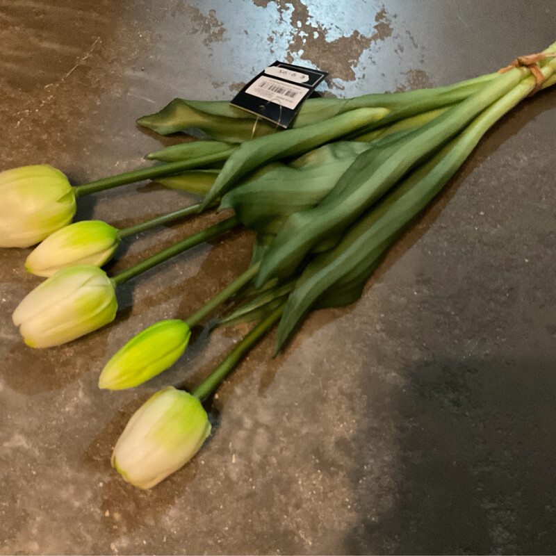 Witte Tulpen Per 5 40cm