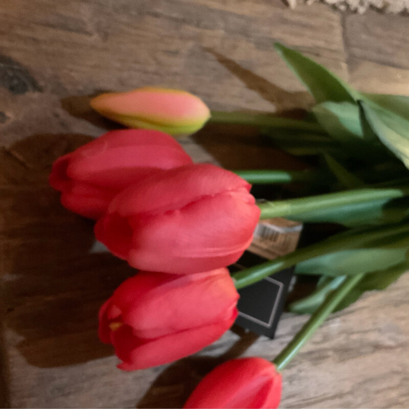 Rode Tulpen 5stelen 40cm