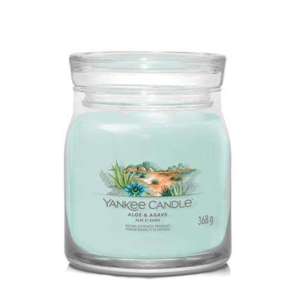 Yanckee Candle Medium Aloe &amp; Agave