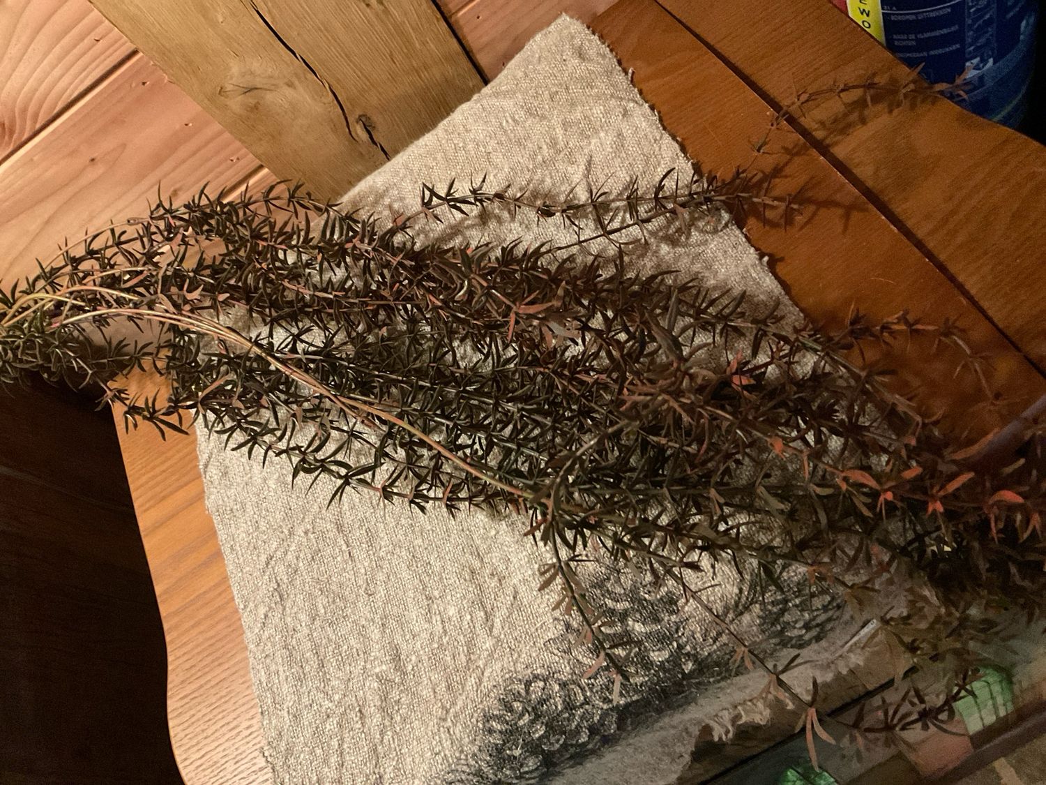 Hanger asparagus grey