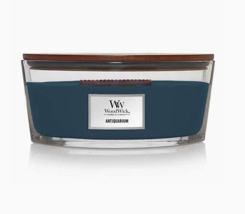 Woodwick antiquarium ellipse