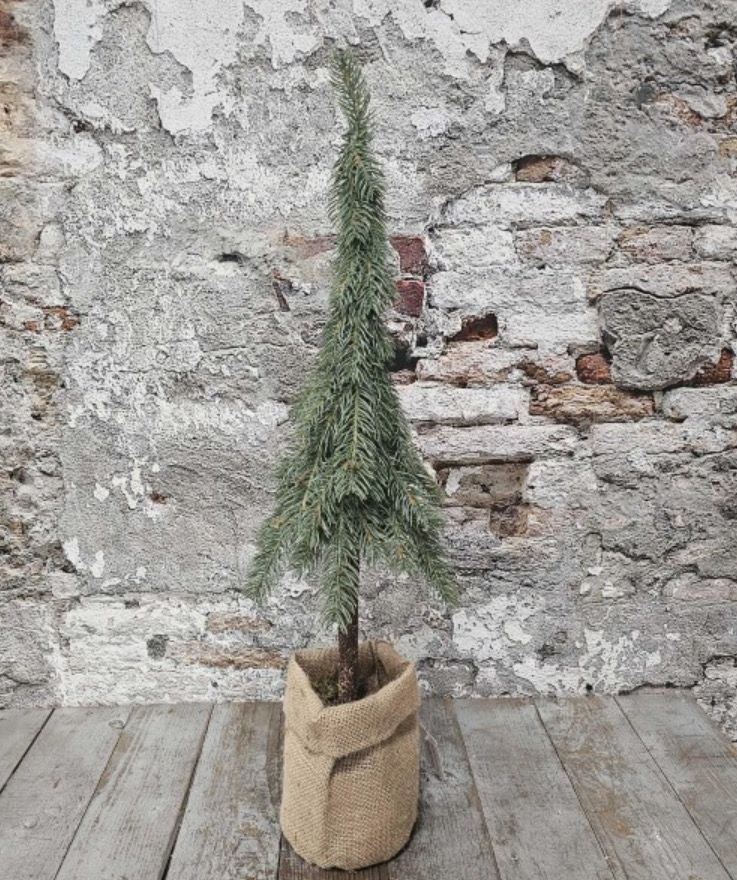 Punt Kerstboom 60cm hoog