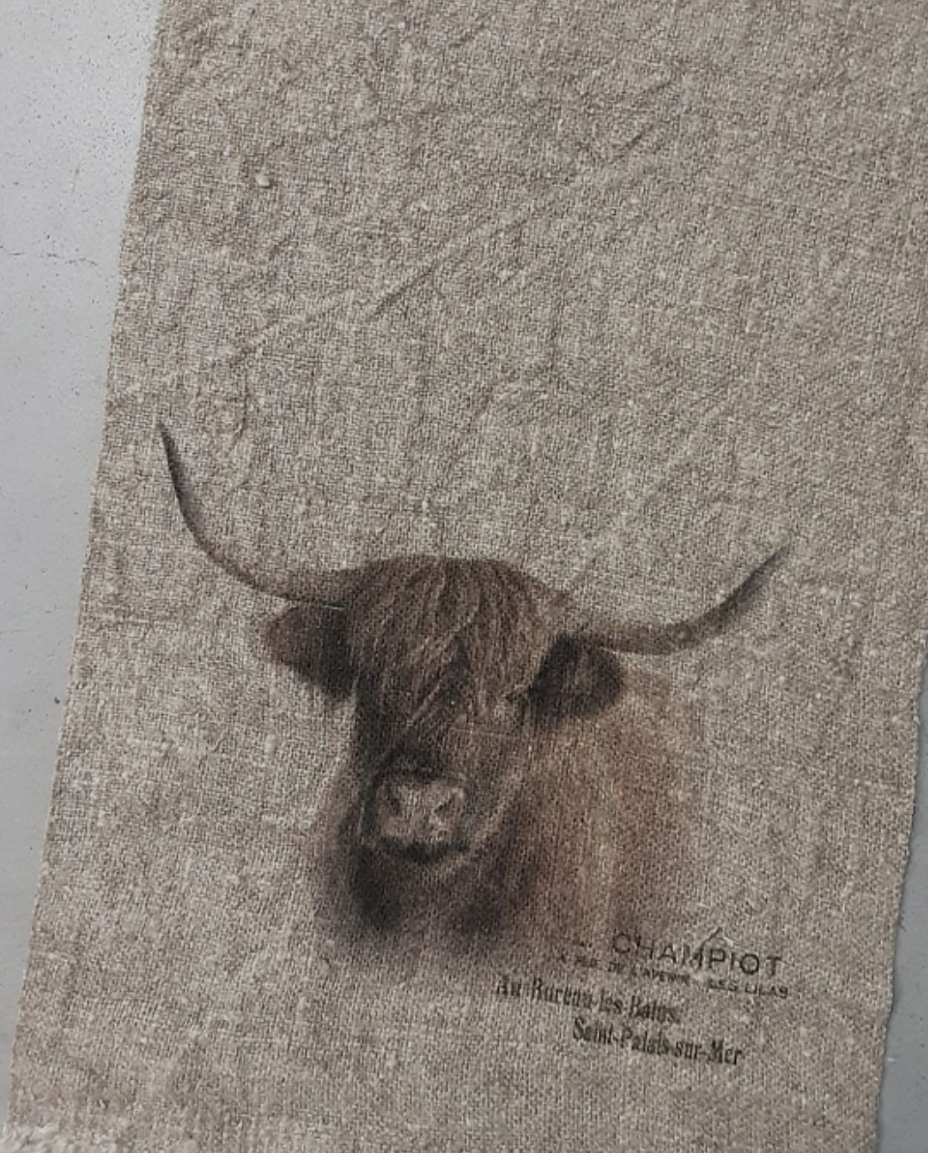 Shabby doek hooglander 30x45 gekleurd