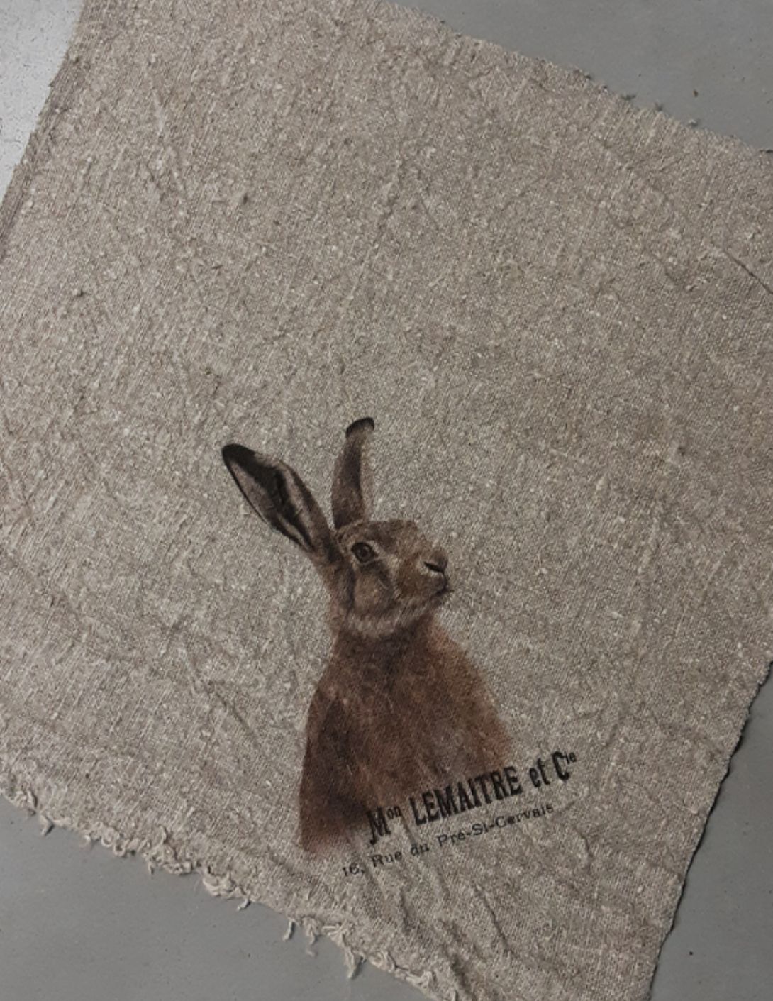 Shabby doek gekleurd haas