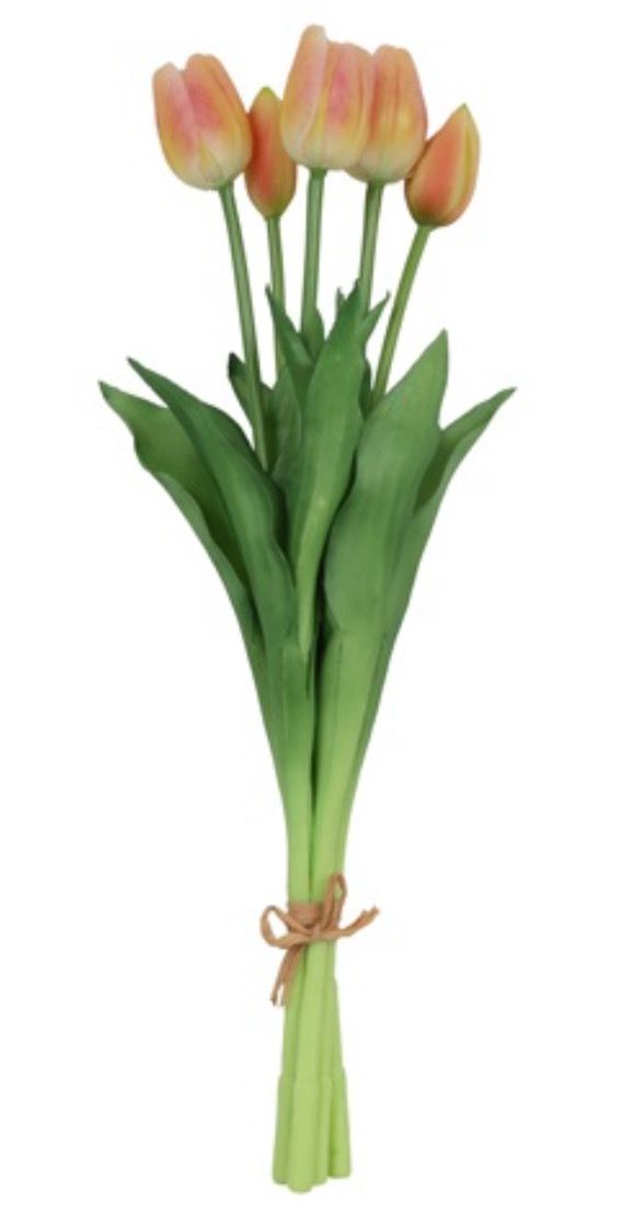 Boeket Zalm roze met lange steel (5)