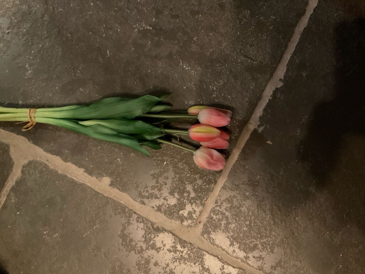 Boeket tulpen Roze - creme lange stelen (5)
