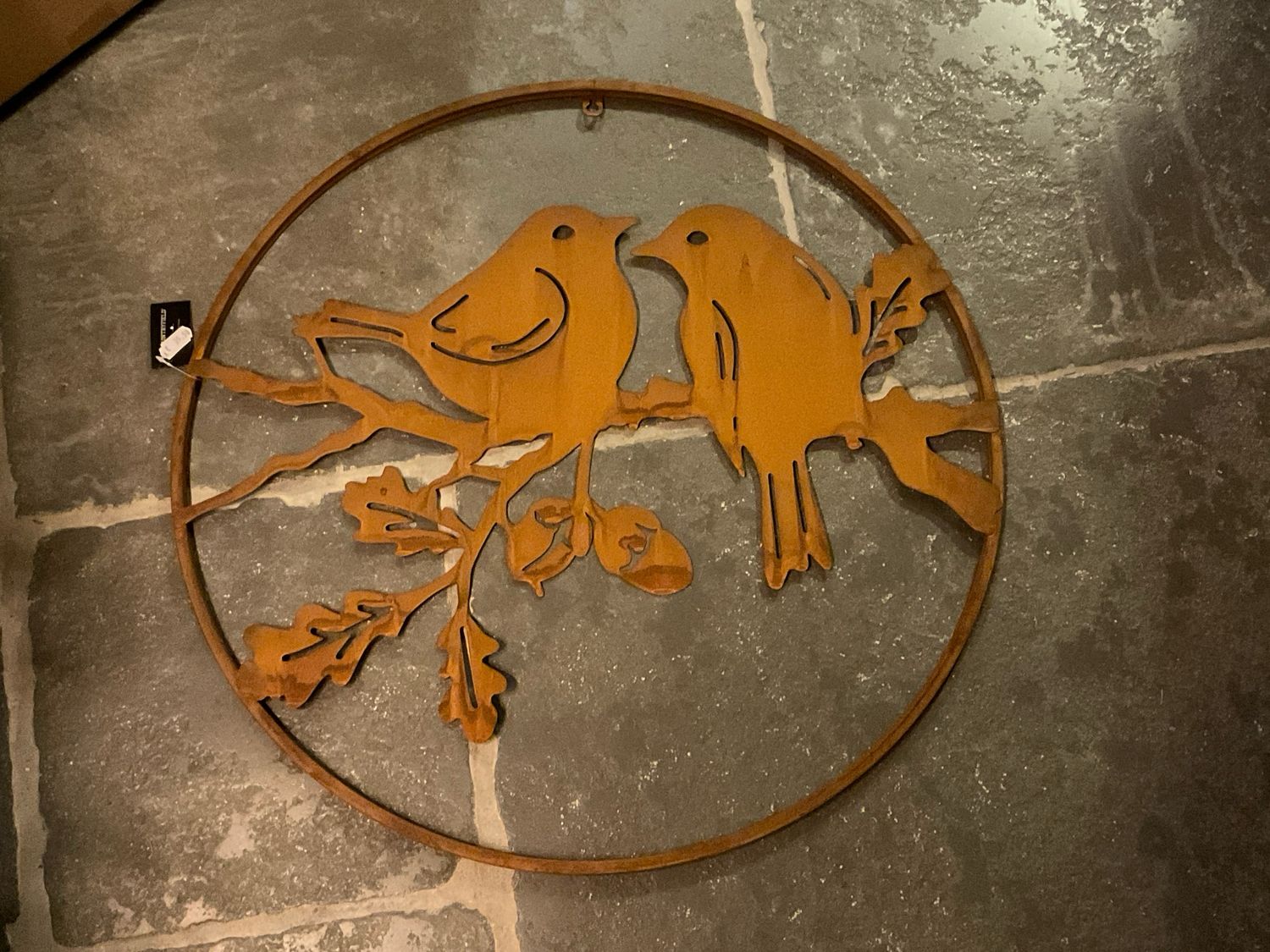 Roeste circel met vogels