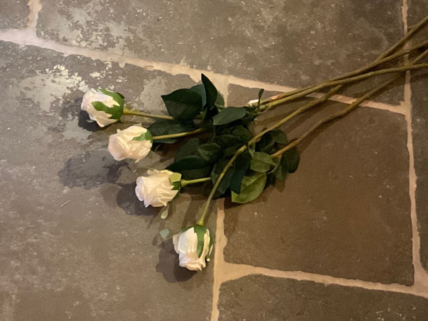 Witte rozen