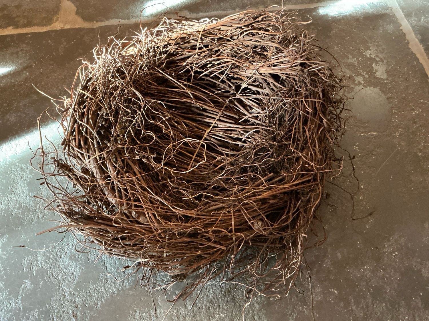 Krans - vogelnest 33cm doorsnee