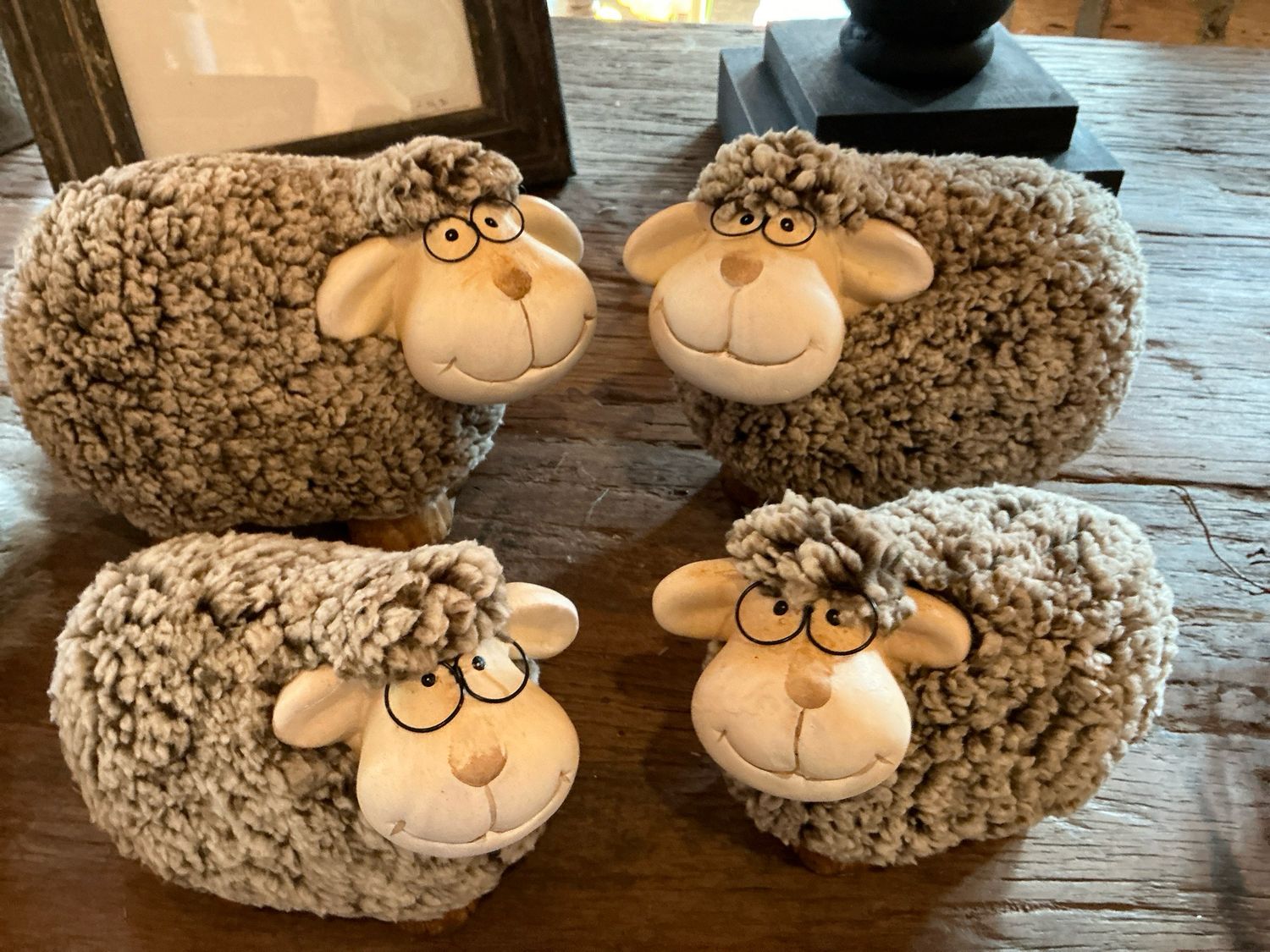 Schaap met bril groot keuze uit 2 verschillende soorten