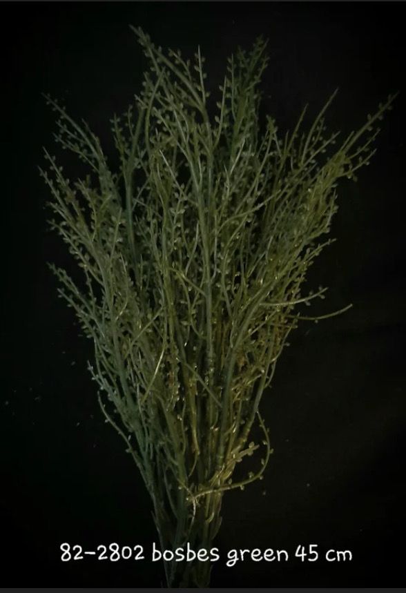 Bosbes geen 45cm