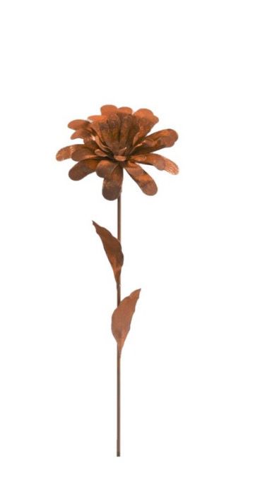 Dahlia