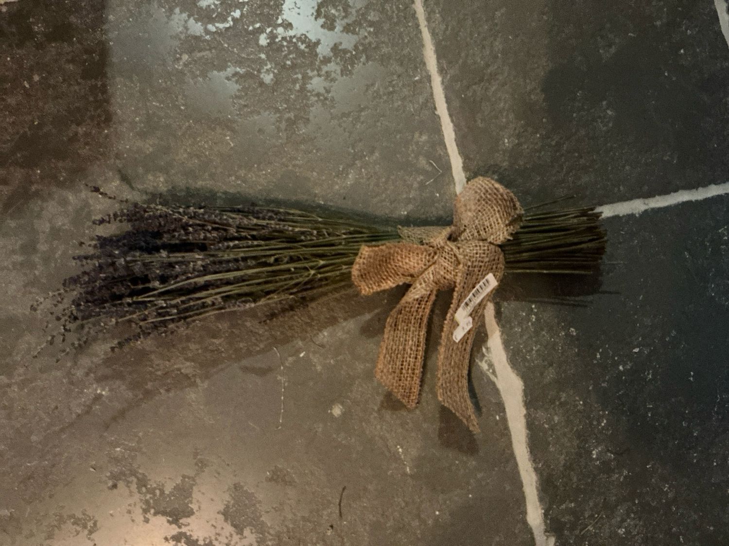 Bundel lavendel