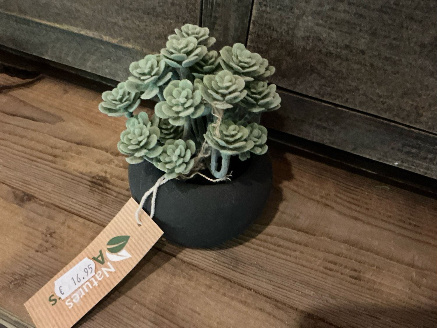 Nep vetplantje in potje