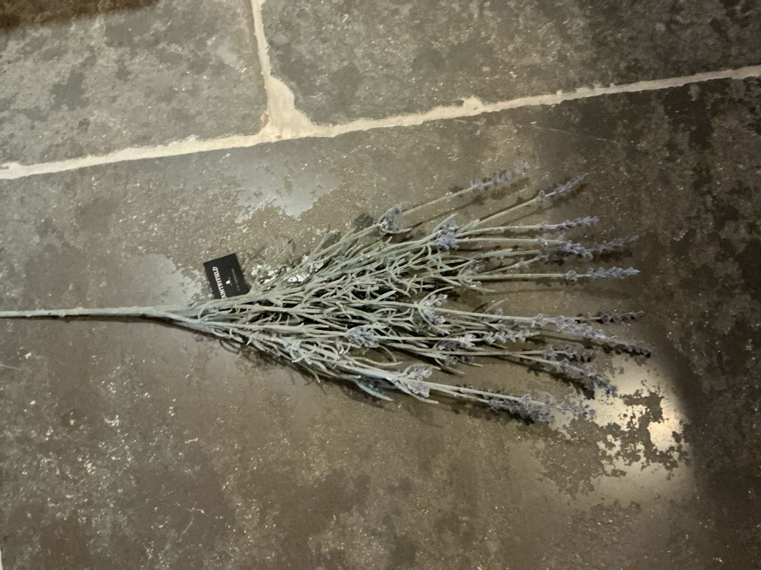 Lavendel paars