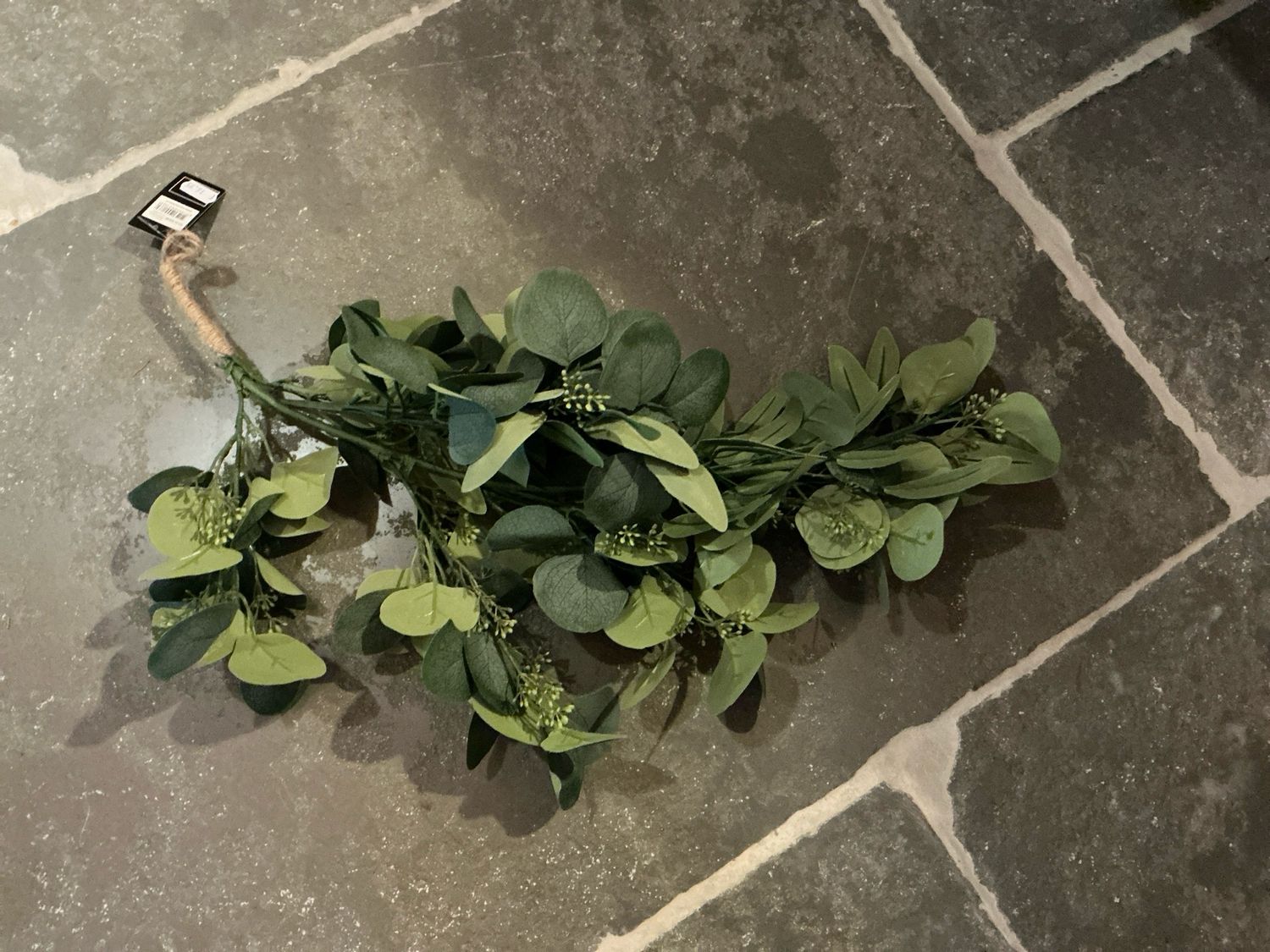 Toef eucalyptus