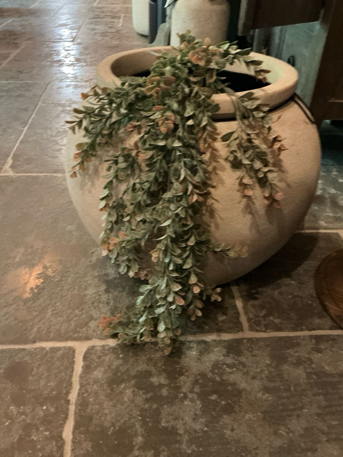 Eucalyptus hanger