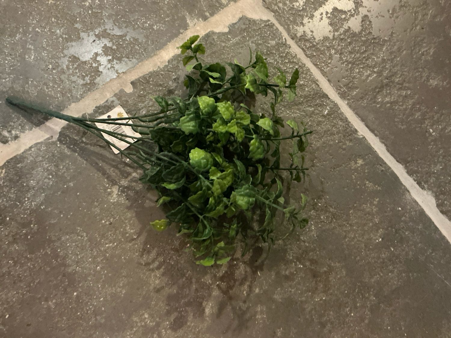 Takje groen