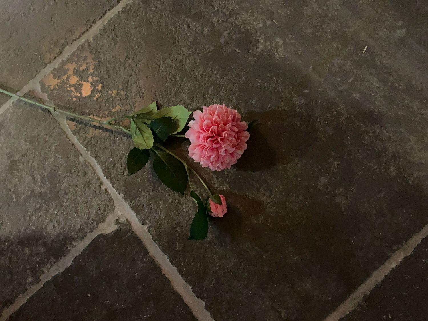 Dahlia 60cm roos