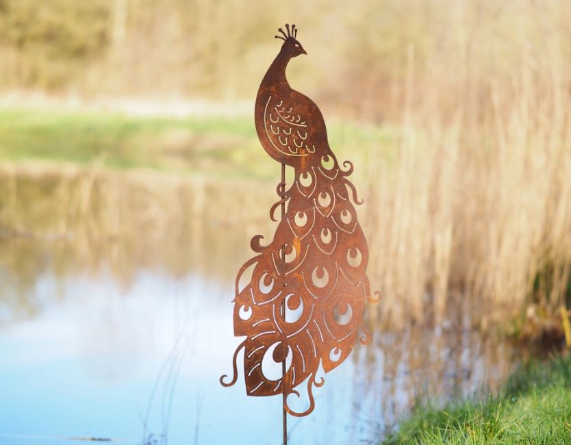Roeste pauw