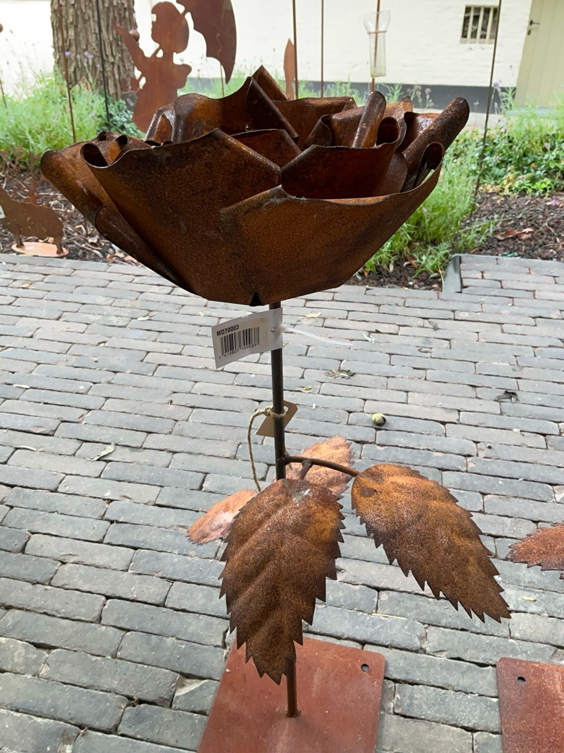 Roeste bloem op voet