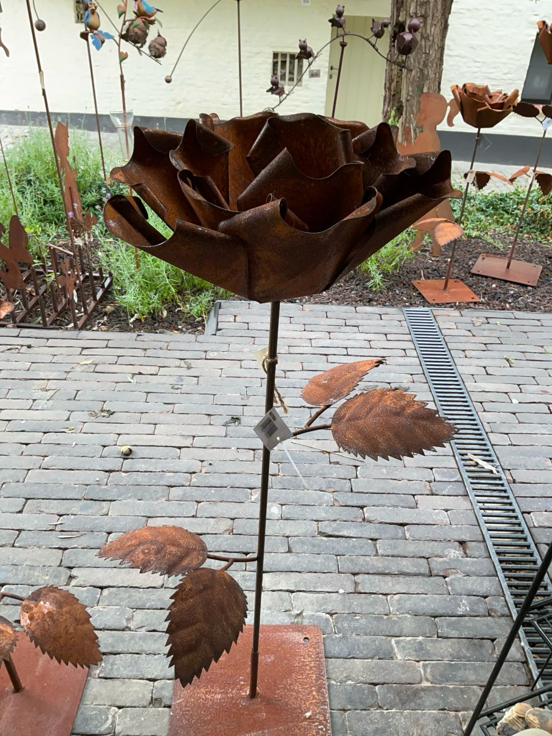 Roeste bloem op voet