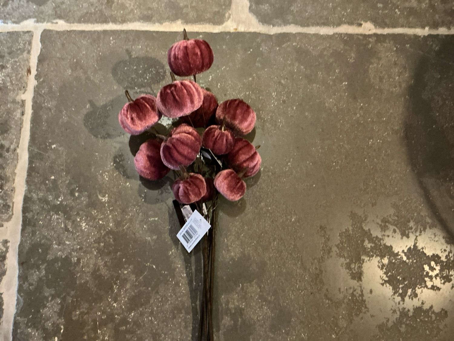 Pompoenen bordeaux op steel (3)