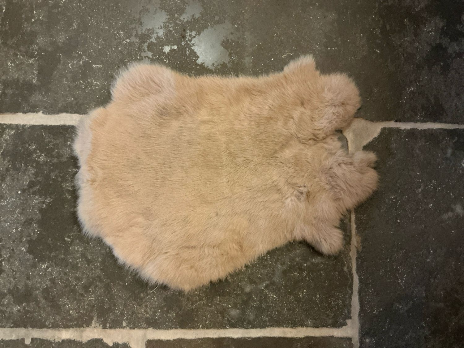 Konijnenvacht beige