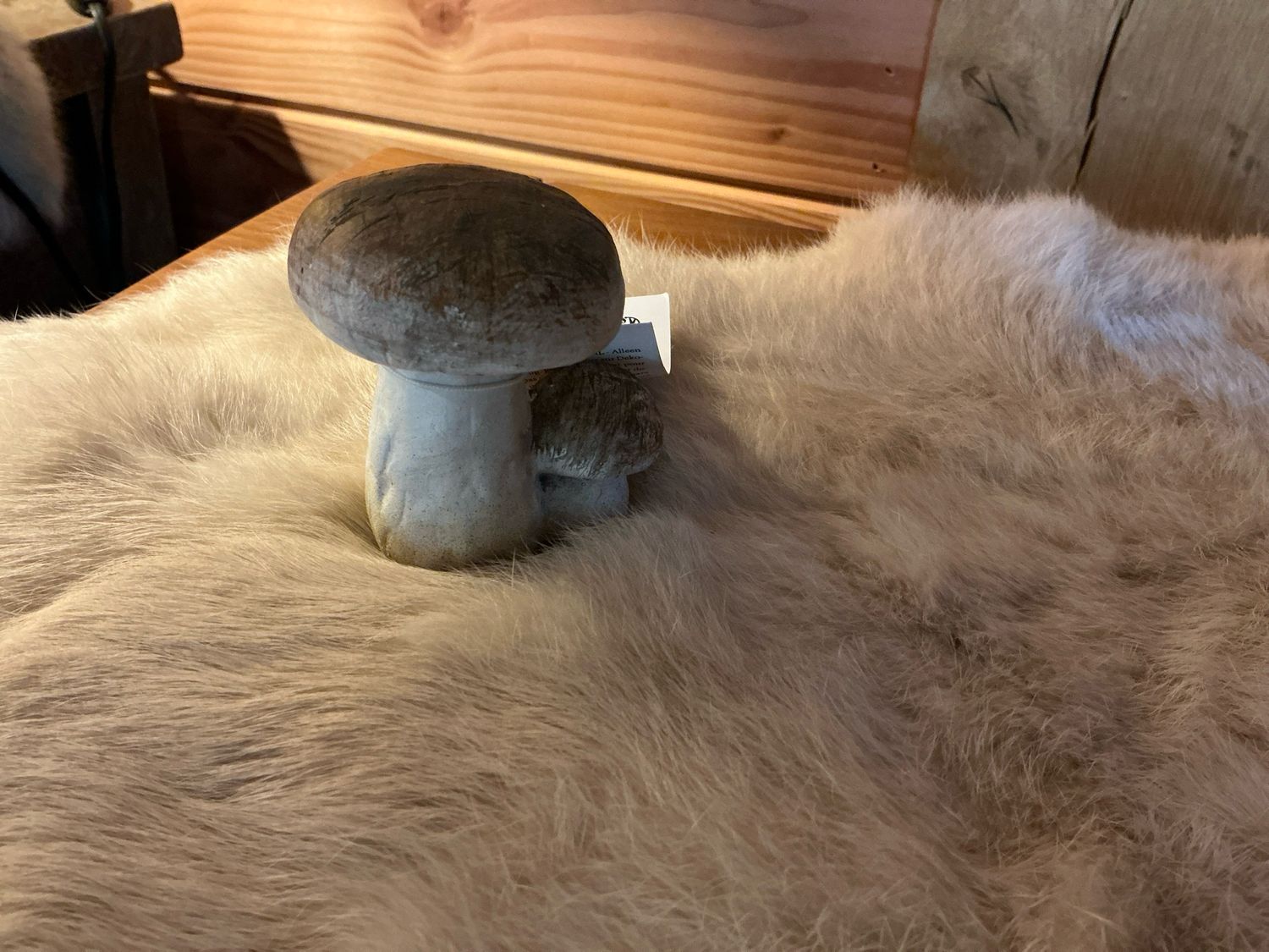 Paddenstoelen beige 6cm