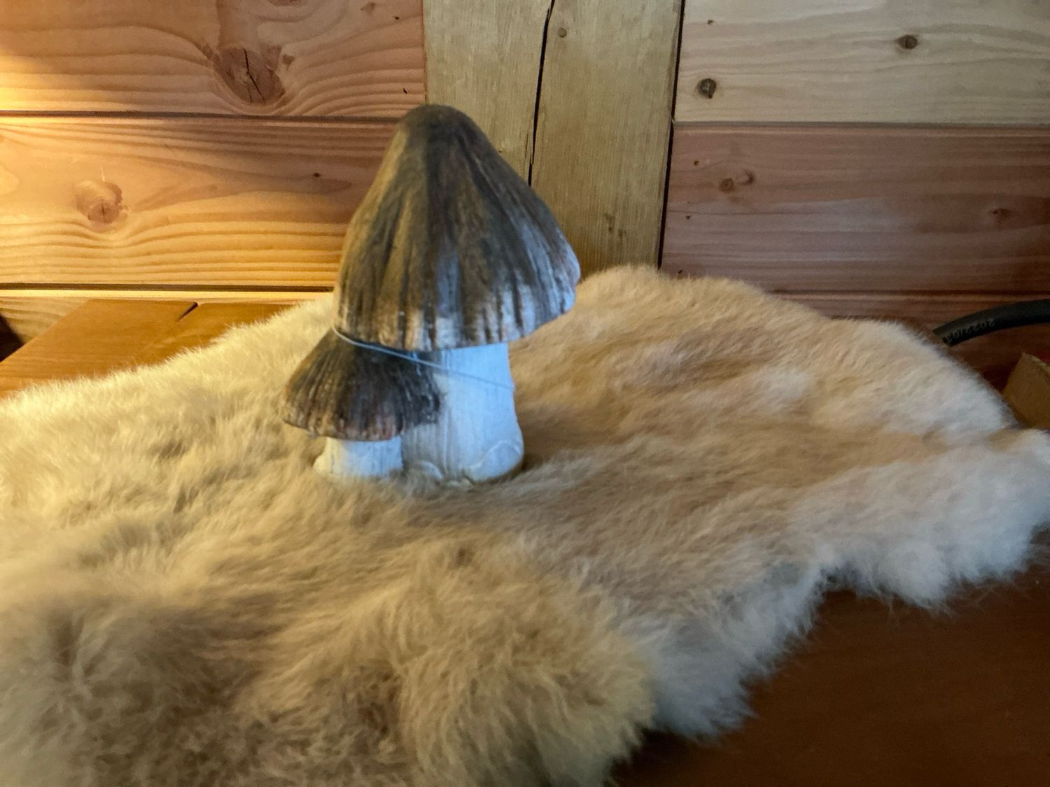 Beige paddenstoelen