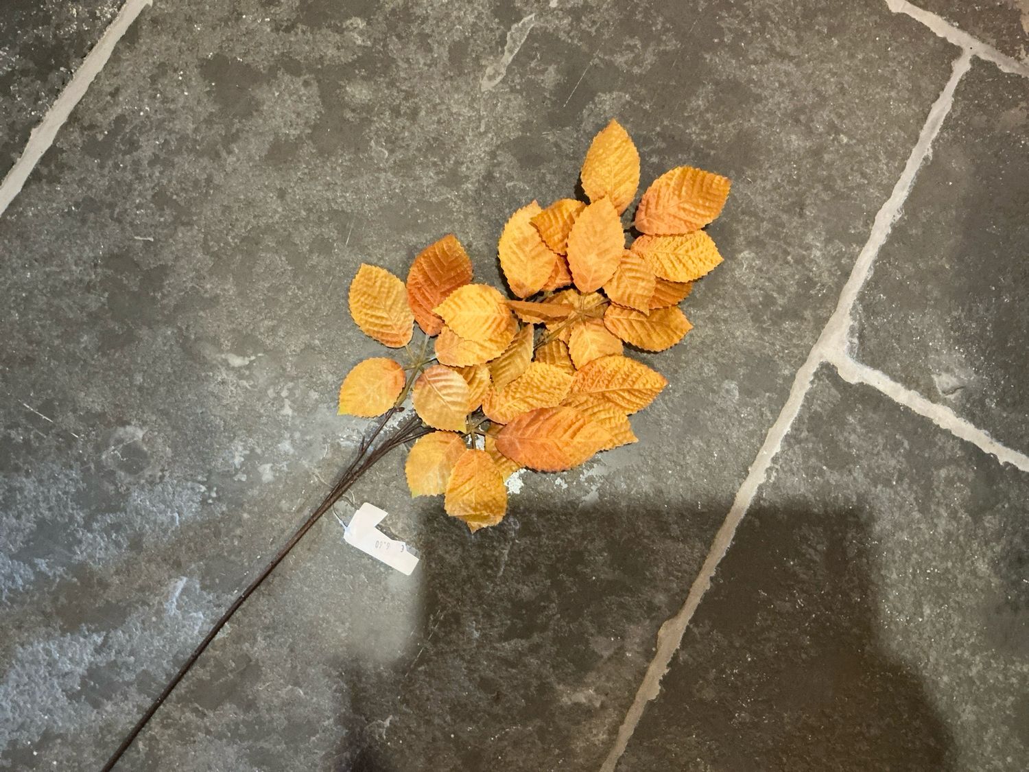 Tak met gele bladeren