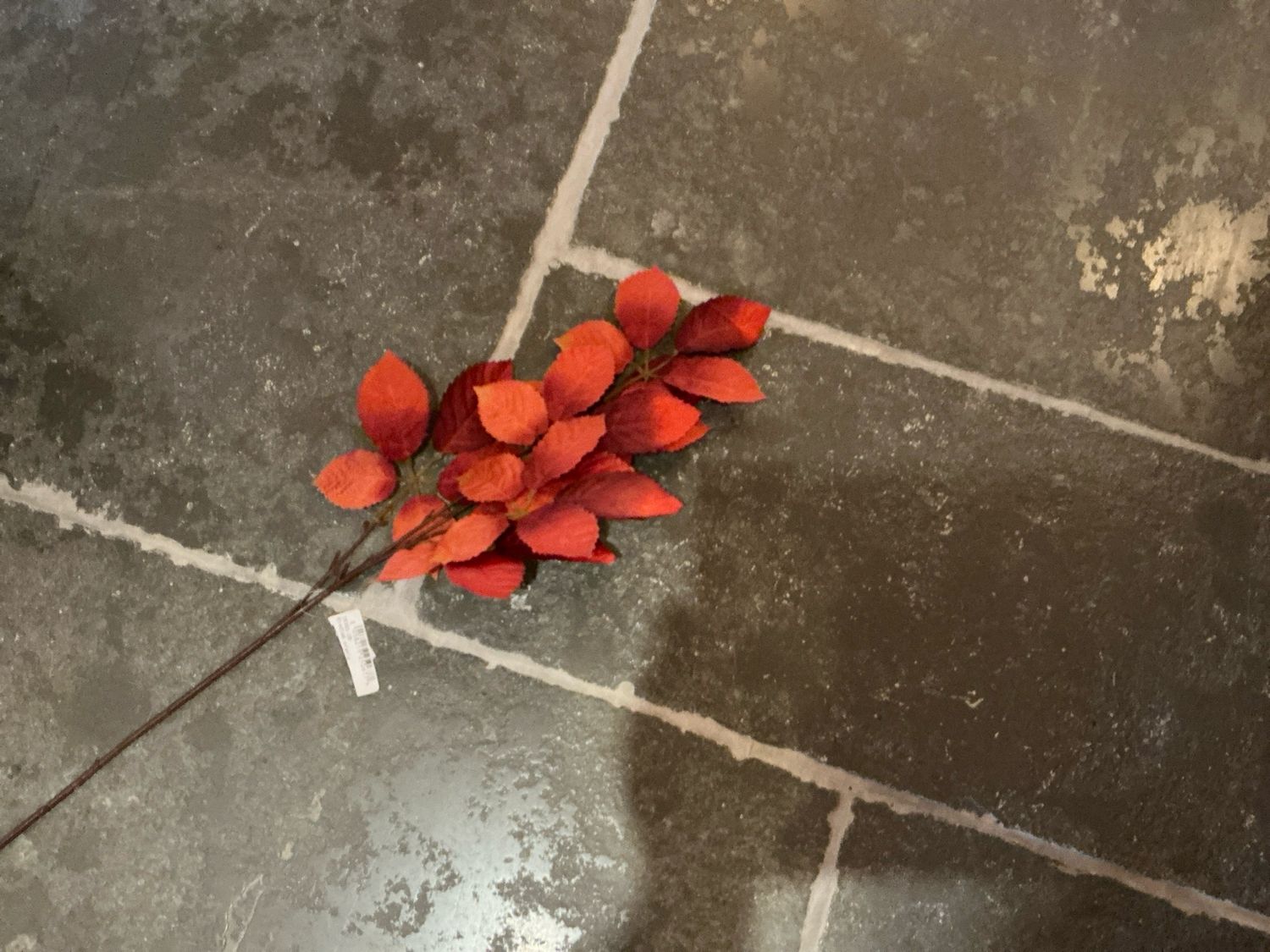 Tak met oranje blaadjes