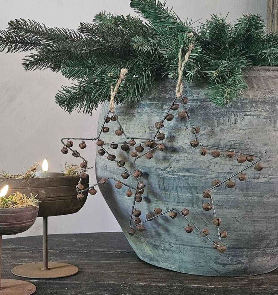 Roeste kerstster groot