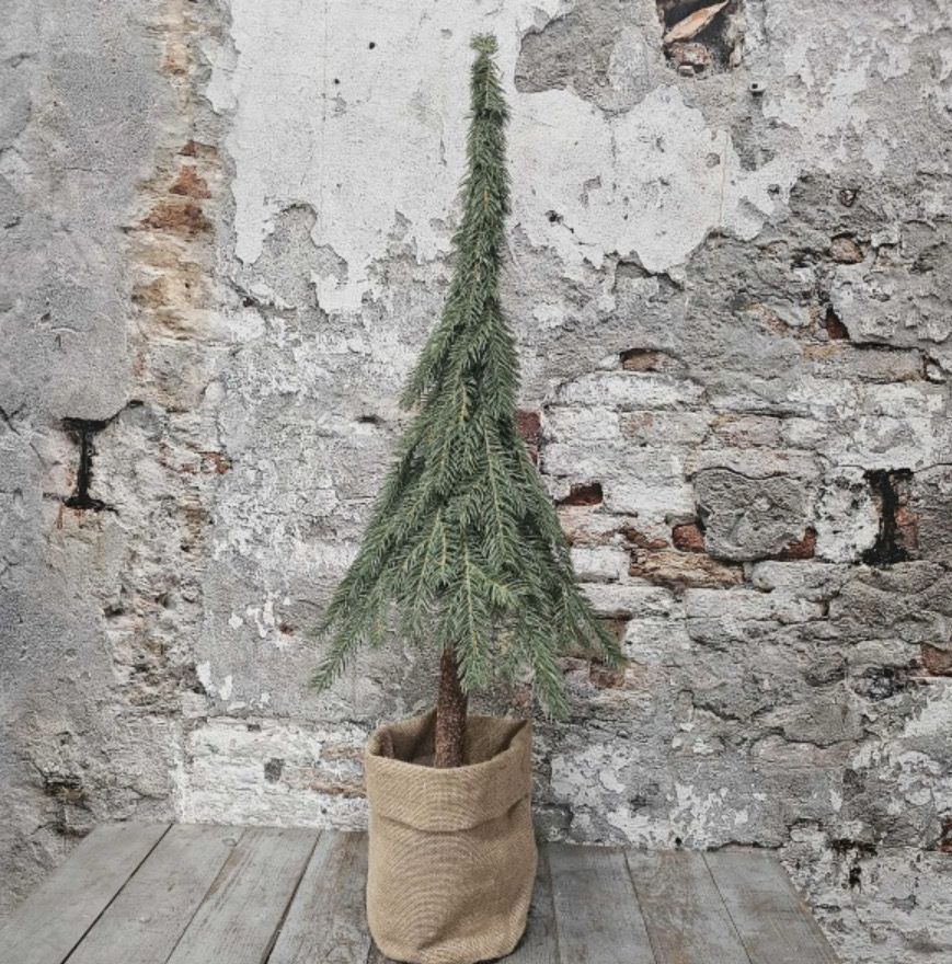 Puntboom mer jute zakje  85cm