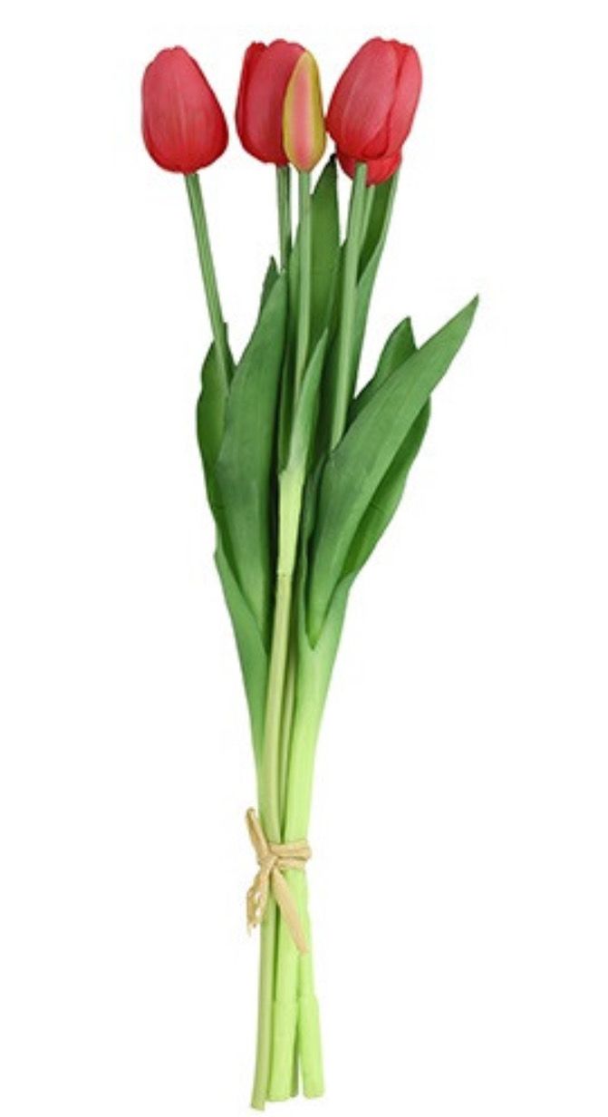 Boeket tulpen van 5 kleur roos 41cm