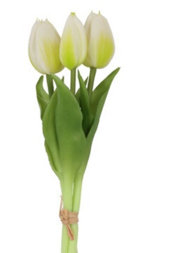 Boeket van 3 witte tulpen 29cm