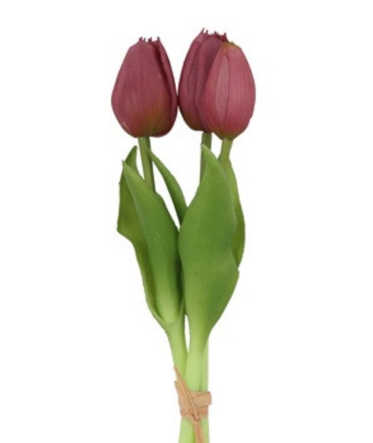 Boeket van 3  tulpen donker paars