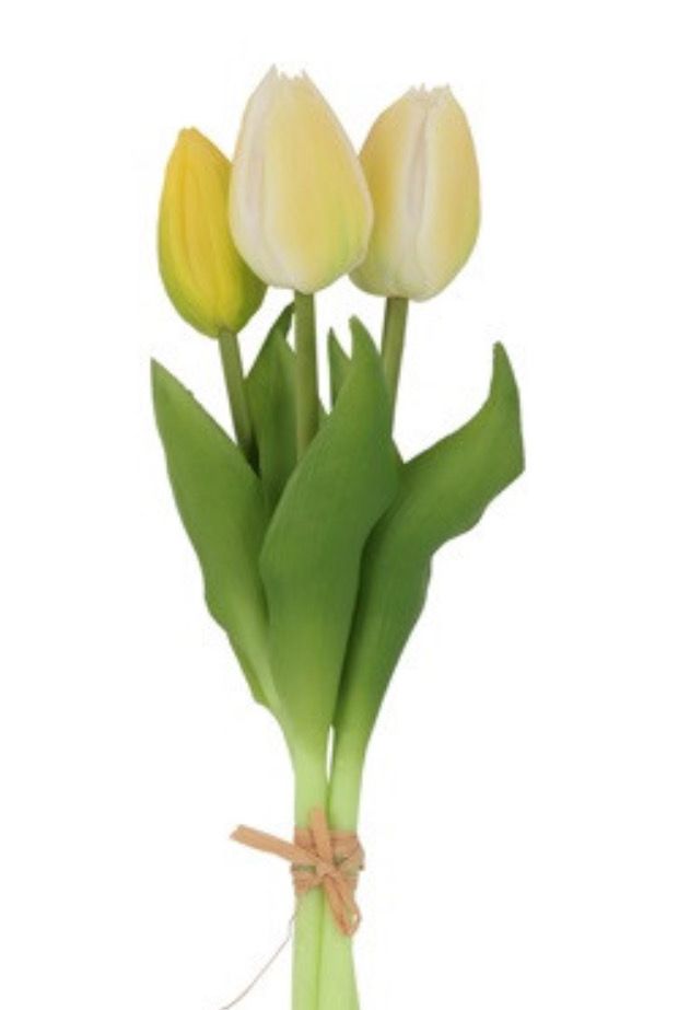 Boeket van 3 gele tulpen 29cm