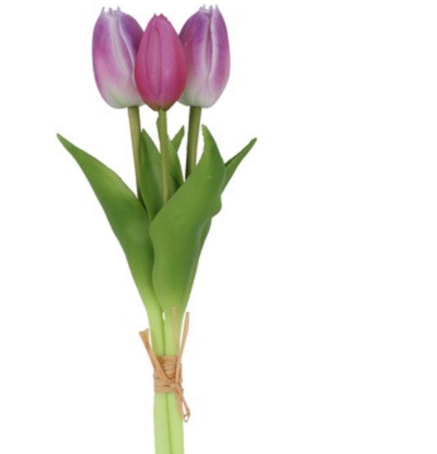Boeket van 3 paars-witte tulpen 29cm